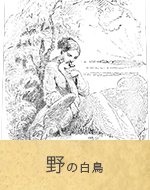 野の白鳥